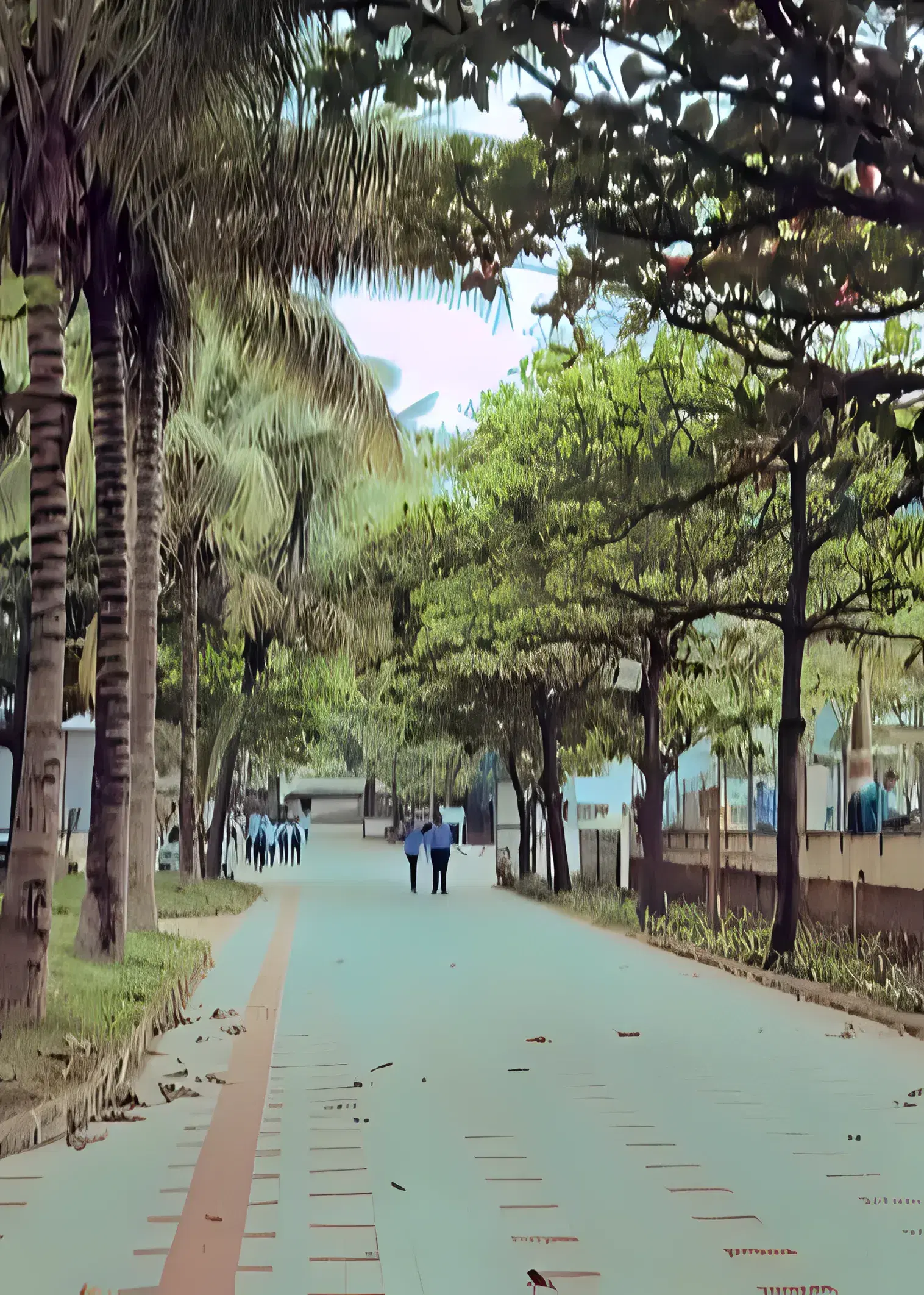 ADCET campus  photo 14